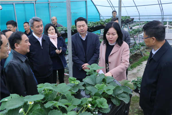 “質(zhì)量興農(nóng)萬里行”陜西站活動花落安康、走進(jìn)漢濱、風(fēng)起陽晨